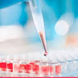 იმუნოფერმენტული რეაგენტები ELISA